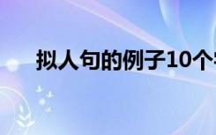 拟人句的例子10个字（拟人句的例子）