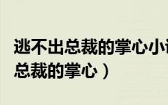 逃不出总裁的掌心小说全文免费阅读（逃不出总裁的掌心）