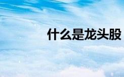 什么是龙头股（什么琴煮鹤）