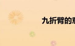 九折臂的意思是什么