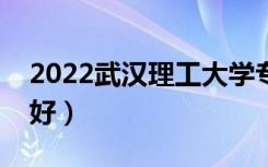 2022武汉理工大学专业排名（哪些专业比较好）