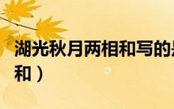 湖光秋月两相和写的是哪个湖（湖光秋月两相和）