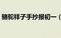骆驼祥子手抄报初一（骆驼祥子手抄报初一）