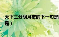 天下三分明月夜的下一句是哪个（天下三分明月夜的下一句是）