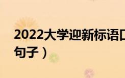 2022大学迎新标语口号（欢迎新同学的优美句子）