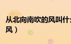从北向南吹的风叫什么（北向南吹的风叫什么风）
