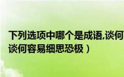 下列选项中哪个是成语,谈何容易细思恐极（下列哪个是成语谈何容易细思恐极）