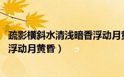 疏影横斜水清浅暗香浮动月黄昏作者（疏影横斜水清浅 暗香浮动月黄昏）