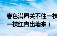 春色满园关不住一枝红杏（春色满园关不住 一枝红杏出墙来）