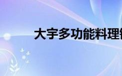 大宇多功能料理锅（大宇旅行家）