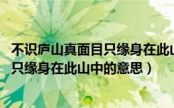 不识庐山真面目只缘身在此山中是谁写的（不识庐山真面目 只缘身在此山中的意思）