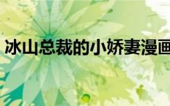 冰山总裁的小娇妻漫画（冰山总裁的小娇妻）