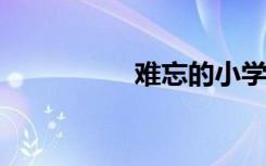 难忘的小学生活手抄报