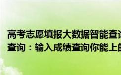 高考志愿填报大数据智能查询系统（2022年高考志愿大数据查询：输入成绩查询你能上的大学）