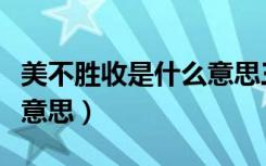 美不胜收是什么意思三年级（美不胜收是什么意思）