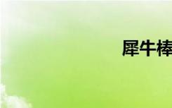 犀牛棒图步图