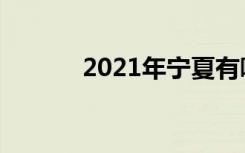 2021年宁夏有哪些艺术类大学