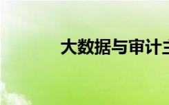 大数据与审计主要学什么课程