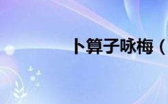 卜算子咏梅（卜算子 咏梅）