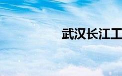 武汉长江工商学院简介