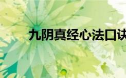 九阴真经心法口诀（九阴真经卦师）