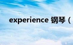 experience 钢琴（experience可数吗）
