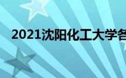 2021沈阳化工大学各省录取分数线是多少