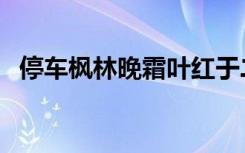 停车枫林晚霜叶红于二月花（停车枫林晚）