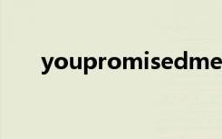 youpromisedme抖音（youproxy）