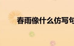 春雨像什么仿写句子（春雨像什么）