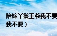 陪嫁丫鬟王爷我不要txt下载（陪嫁丫鬟王爷我不要）