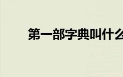 第一部字典叫什么名（第一部字典）