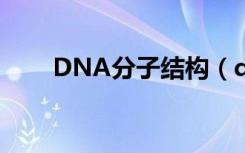 DNA分子结构（dna分子结构特点）