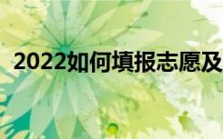 2022如何填报志愿及选学校（有什么技巧）