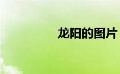 龙阳的图片（龙阳之癖）