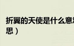折翼的天使是什么意思（折翼的天使是什么意思）