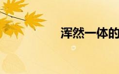 浑然一体的意思是什么