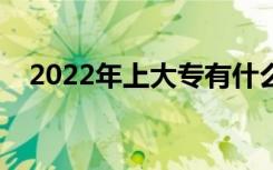 2022年上大专有什么出路（有什么前景）