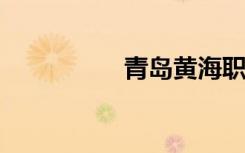 青岛黄海职业学院简介