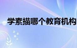 学素描哪个教育机构比较好 怎么选择机构
