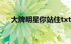 大牌明星你站住txt（大牌明星你站住）