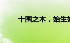 十围之木，始生如蘖的意思是什么