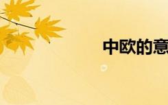 中欧的意思是什么