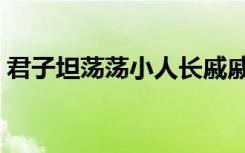 君子坦荡荡小人长戚戚的拼音（君子坦荡荡）