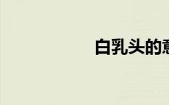 白乳头的意思是什么