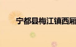 宁都县梅江镇西厢幼儿园的地址在哪