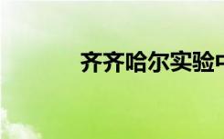 齐齐哈尔实验中学的地址在哪