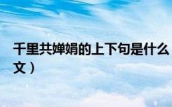 千里共婵娟的上下句是什么（千里共婵娟上一句是什么及全文）
