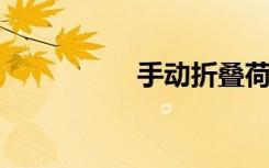 手动折叠荷花步骤图解