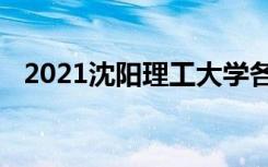 2021沈阳理工大学各省录取分数线是多少